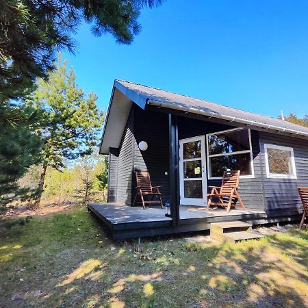 Tranum Klit Camping Og Hytteudlejning Brovst Bagian luar foto