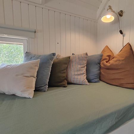 Tranum Klit Camping Og Hytteudlejning Brovst Bagian luar foto