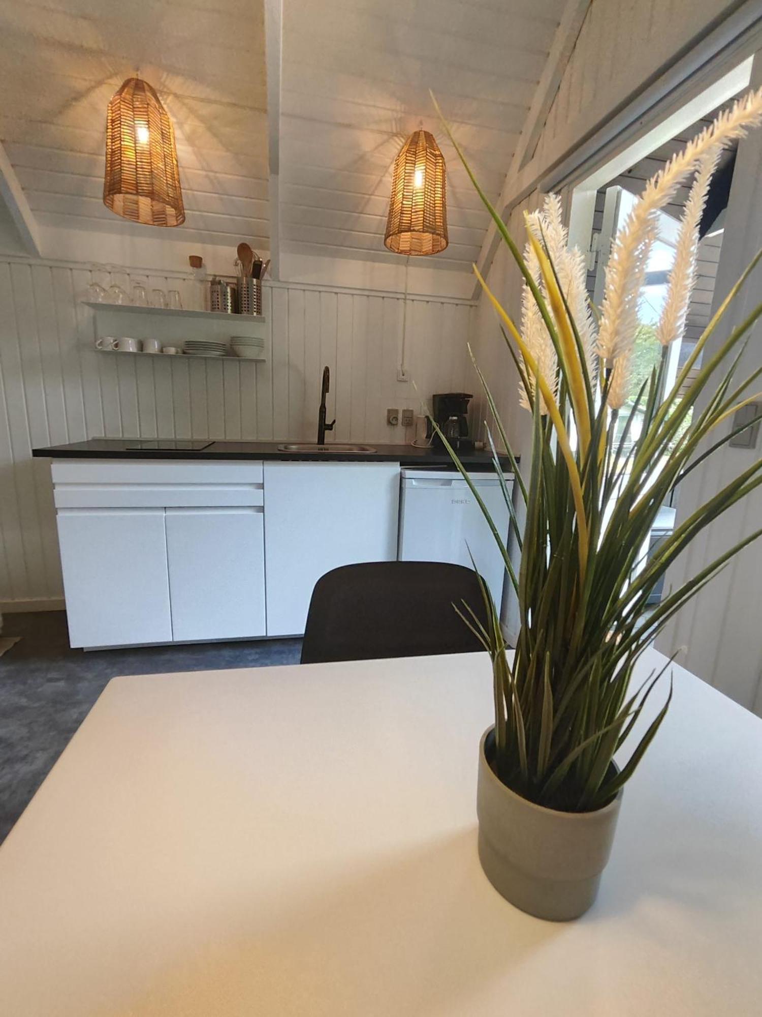 Tranum Klit Camping Og Hytteudlejning Brovst Bagian luar foto